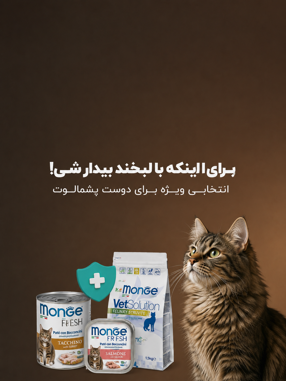 گربه