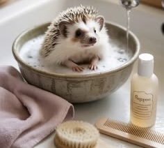 Grooming