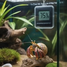 Hygrometer