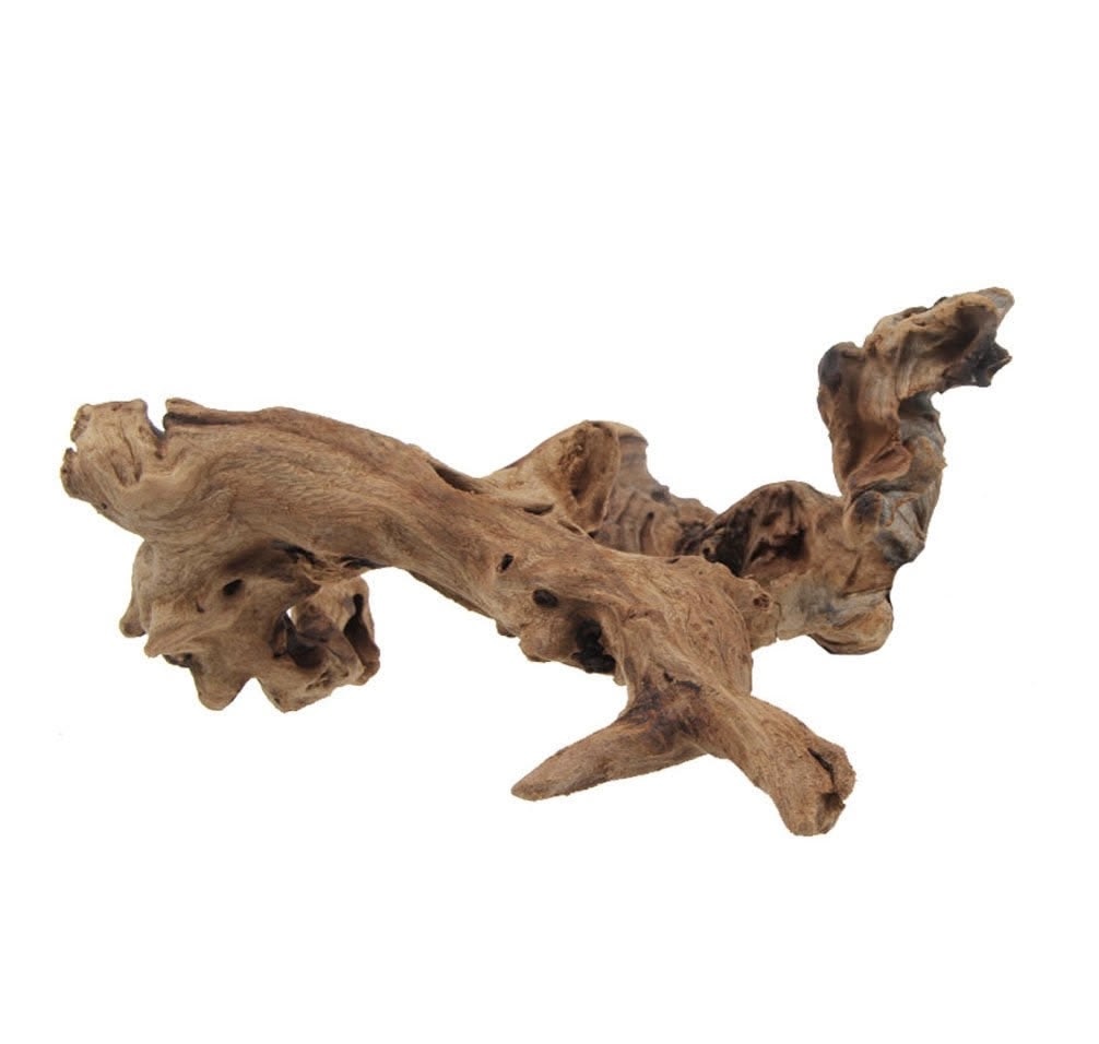 Driftwood