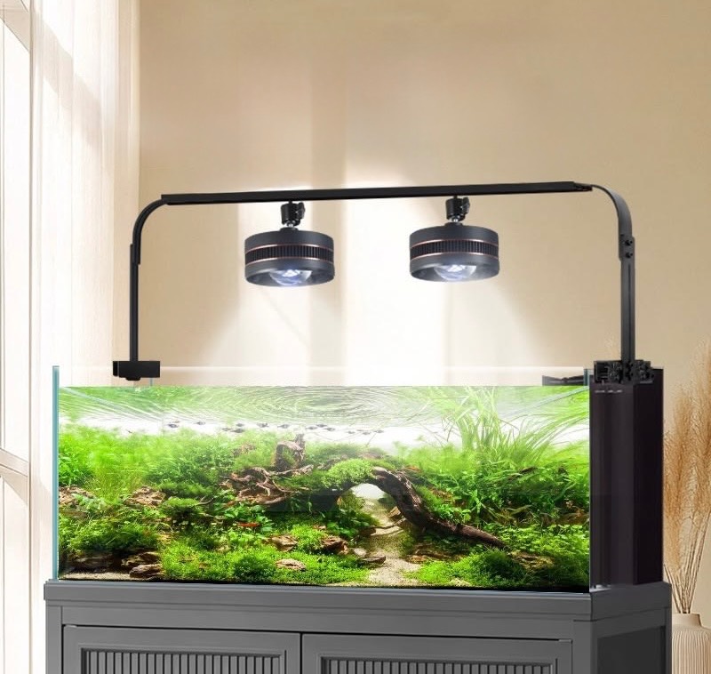 Aquarium Light