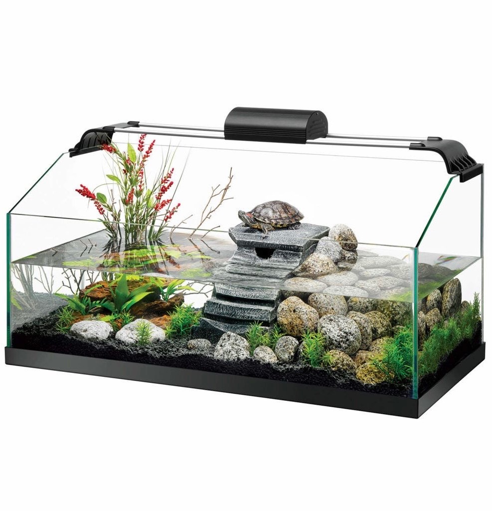 Turtle Tank