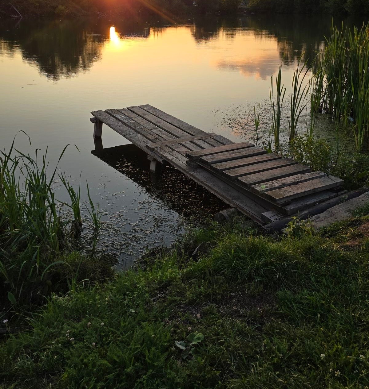 Dock