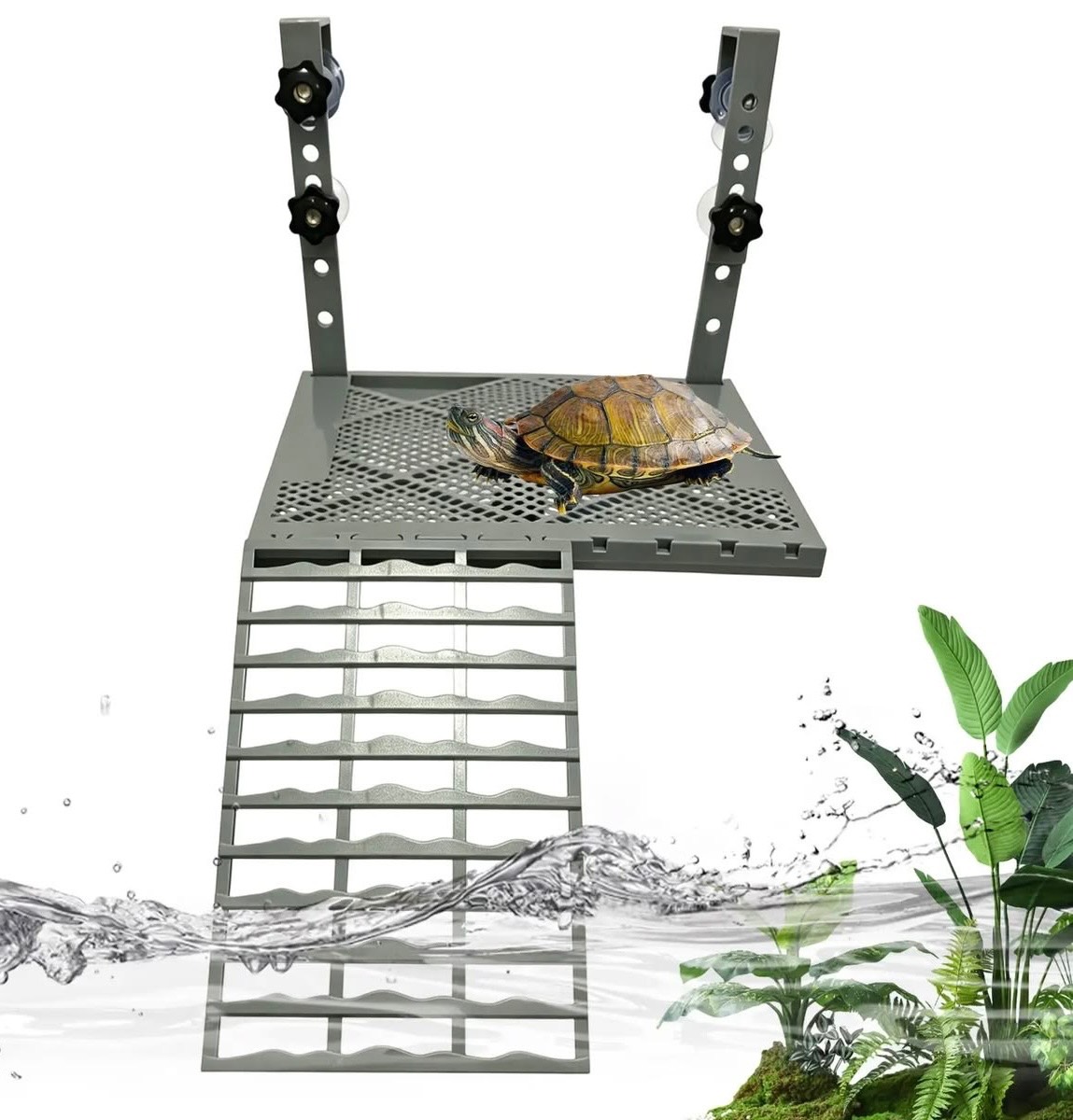 Basking Dock