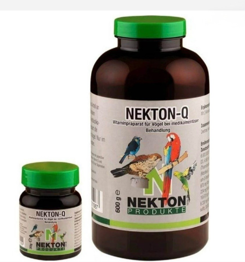 Nekton Q