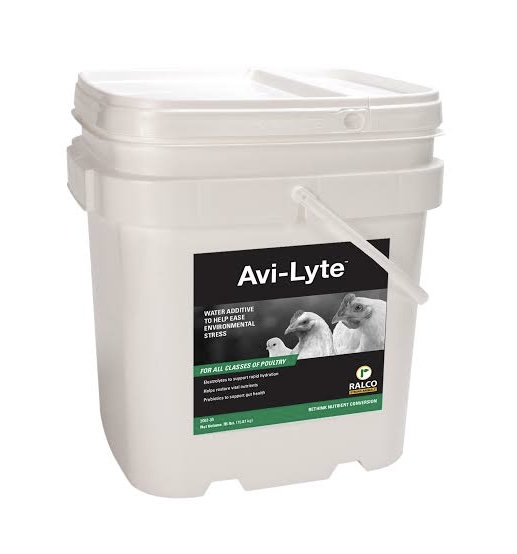 Avilyte