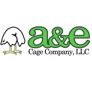A&E